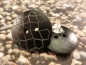 Preview: Waben Gravur Holzknopf Ohrstecker Natur Button